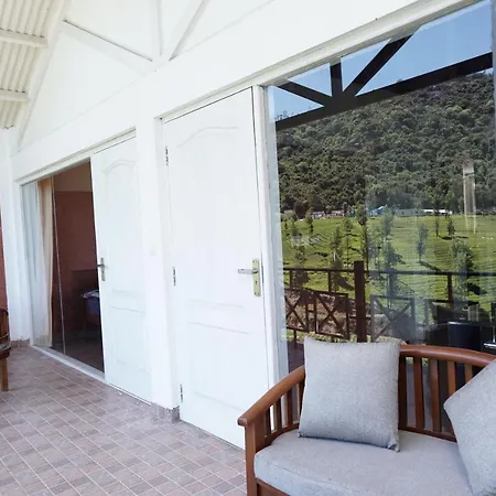 Tea Leaf Stays By Brown Tree Resorts-3
