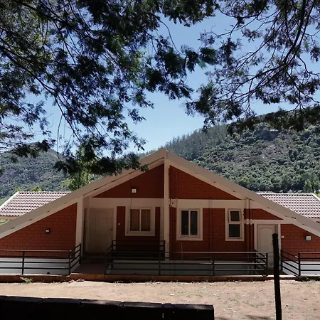Tea Leaf Stays By Brown Tree Resorts-2